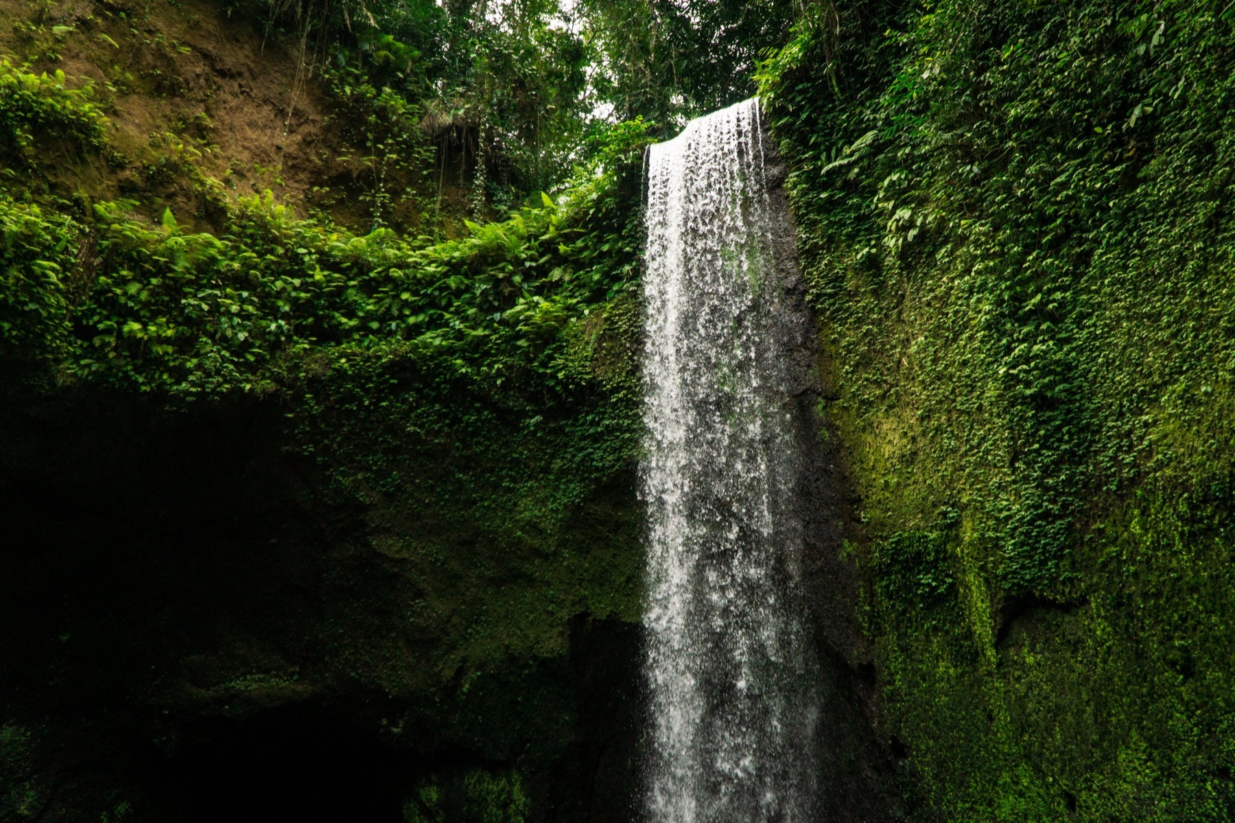 A waterfall flowing down a green cliff in Bali